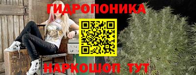 spice Малоярославец