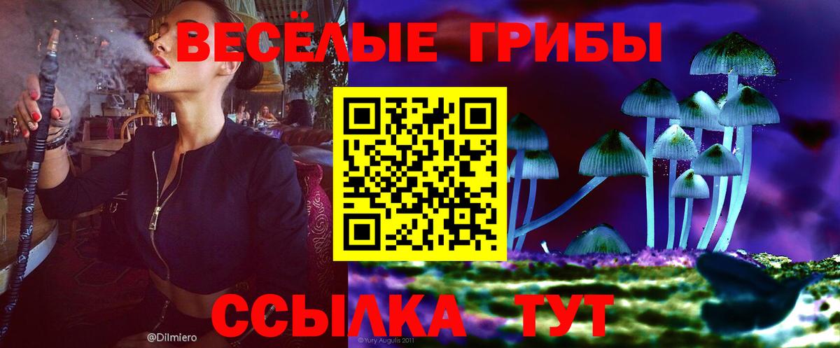 Псилоцибиновые грибы MAGIC MUSHROOMS Туймазы